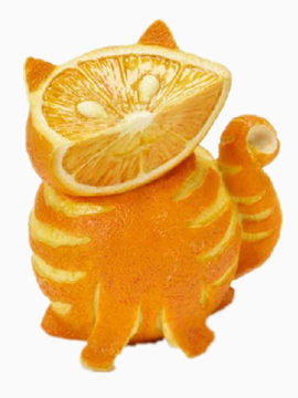 橙子猫