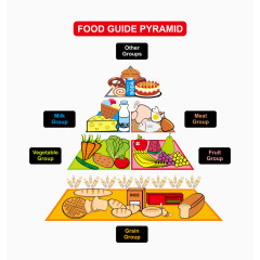 膳食指南金字塔