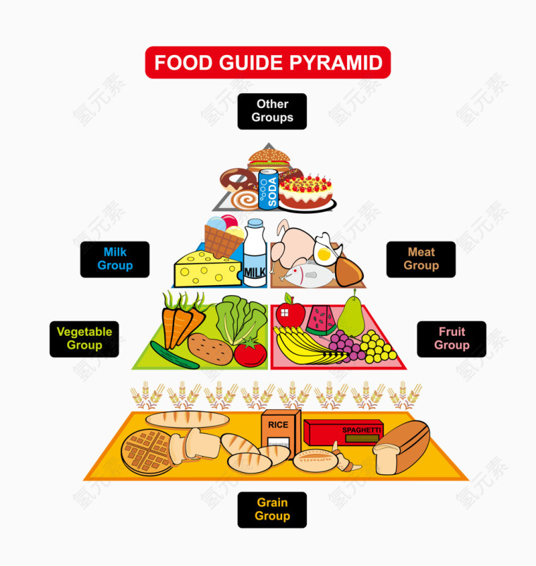 膳食指南金字塔