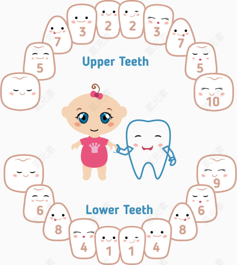矢量可爱卡通牙齿注解素材