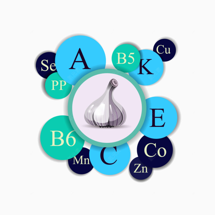 大蒜和营养成分ppt矢量素材下载