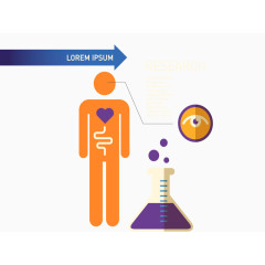 矢量医药人体图