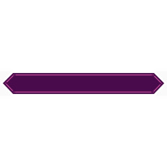 紫色长条标签