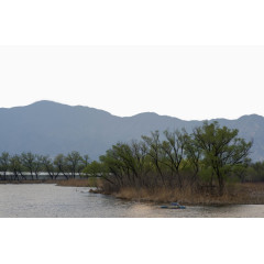 北京稻香湖春天风景