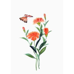 水彩插画蝴蝶与鲜花