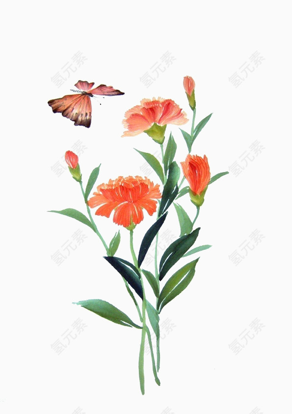 水彩插画蝴蝶与鲜花