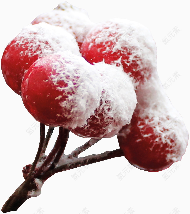 布满雪花的红色果子