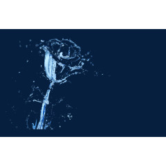 水滴玫瑰花