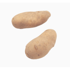两个长条形土豆