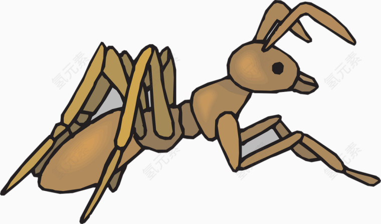 棕色的蚂蚁