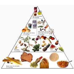 健康食材金字塔