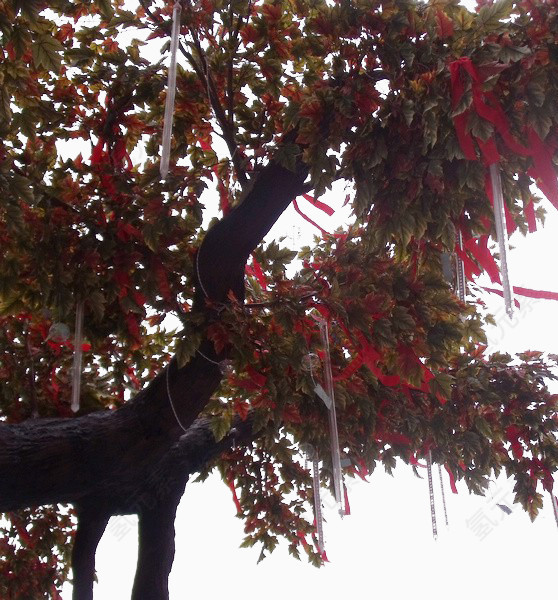 挂满红布的许愿树