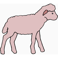 淡粉色的绵羊