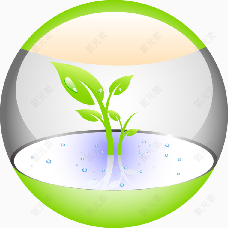 玻璃球水培植物发芽矢量图