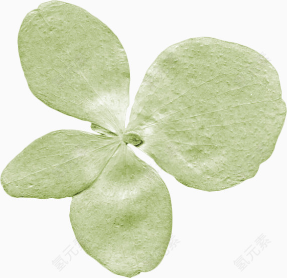 绿色纸质花瓣