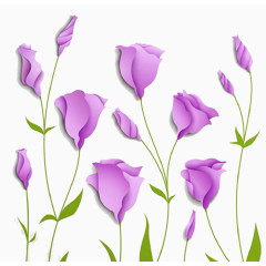 一片紫花