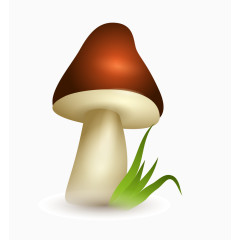 鲜嫩蘑菇