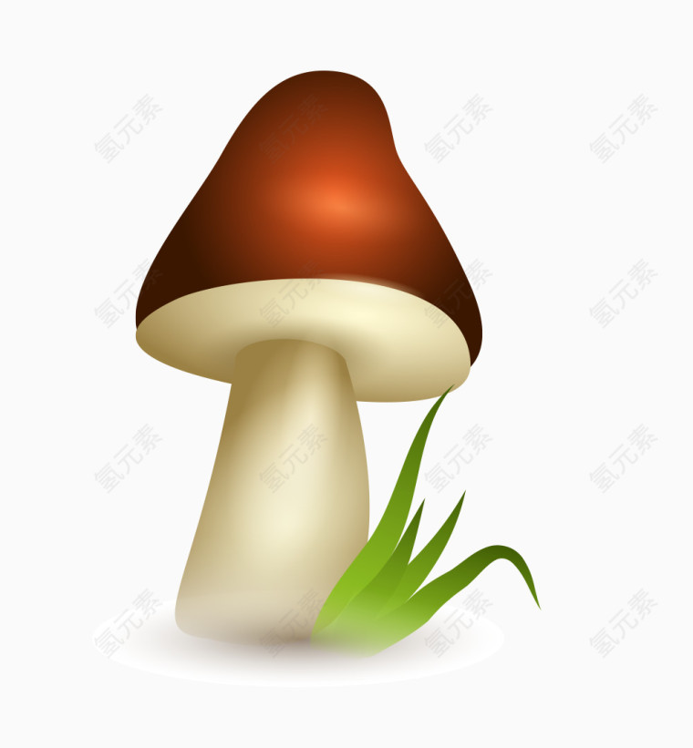 鲜嫩蘑菇