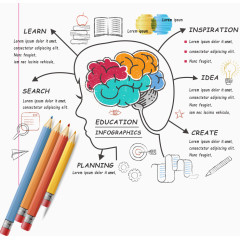 矢量铅笔和大脑