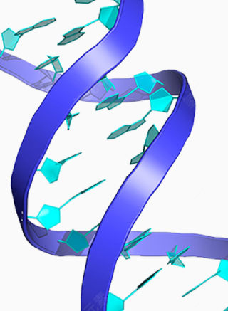 DNA分子结构下载