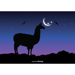 矢量夜晚骆驼