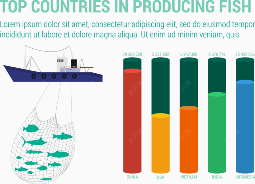 生产鱼类的国家信息图表展示矢量下载