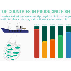 生产鱼类的国家信息图表展示矢量