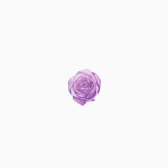 一朵可爱紫色花朵