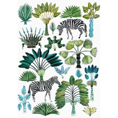 热带植物动物