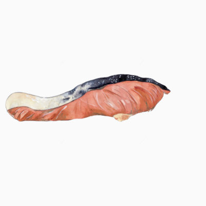 鱼肉块手绘画素材图片下载