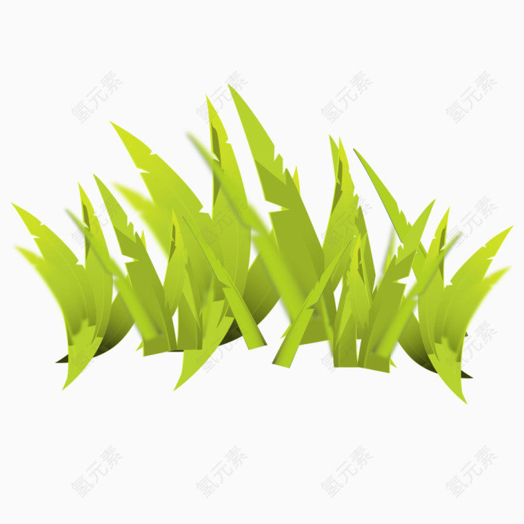绿色青草植物