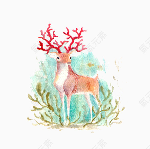 红色鹿角的小鹿