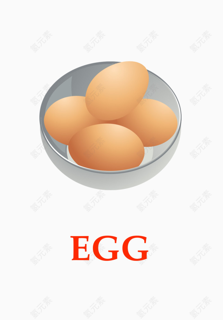 矢量食物插画英文教学鸡蛋