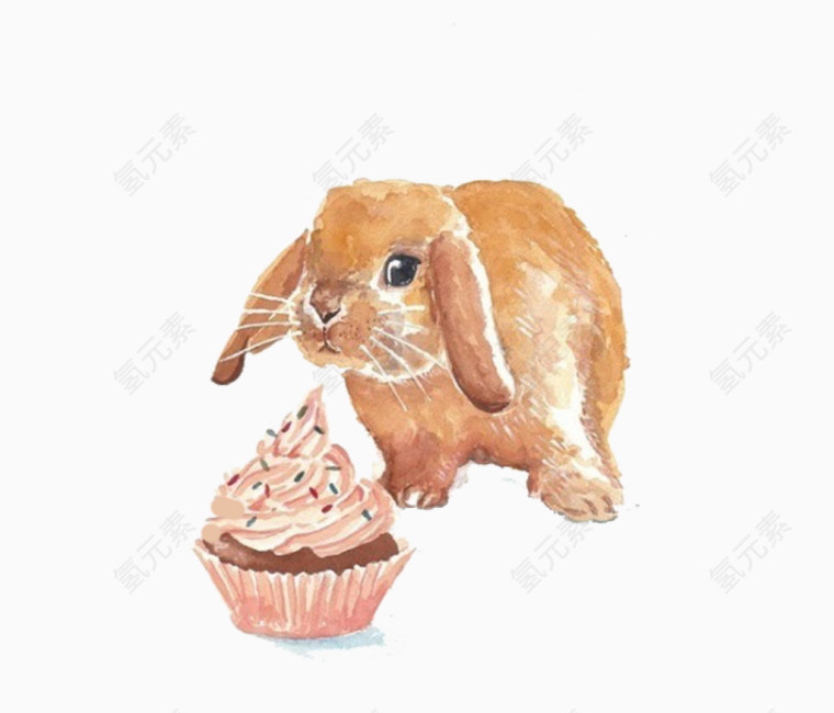 卡通兔子吃蛋糕