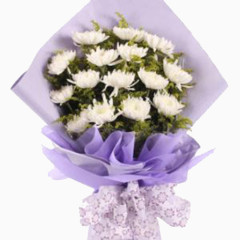 白色菊花花束
