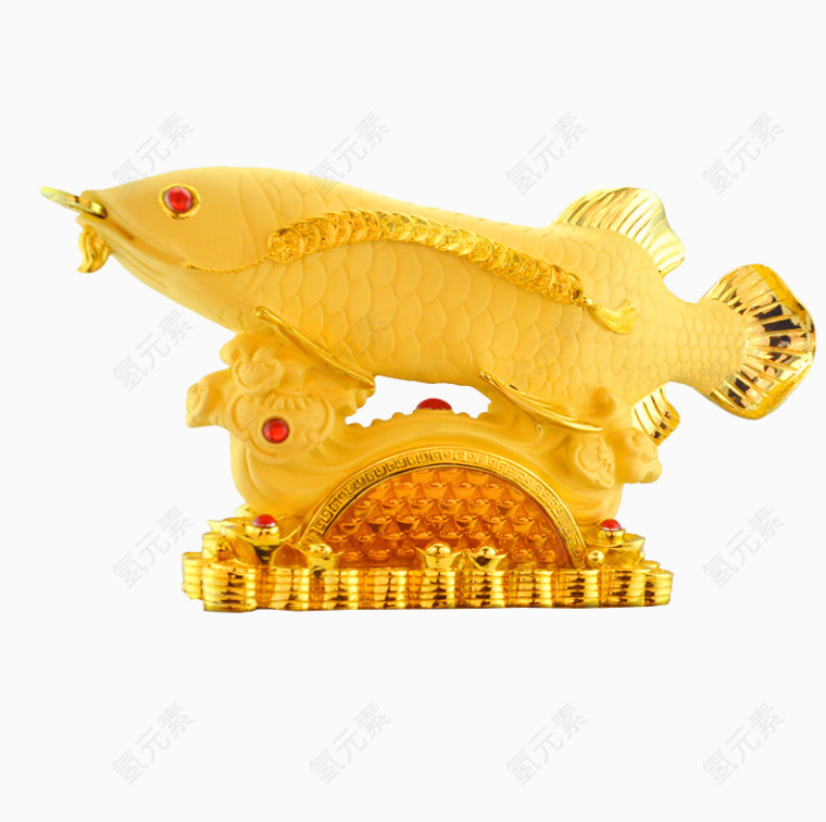 金漆金龙鱼