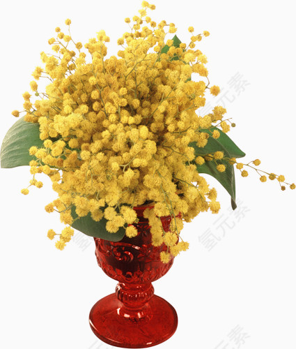 花瓶绿叶黄色小花