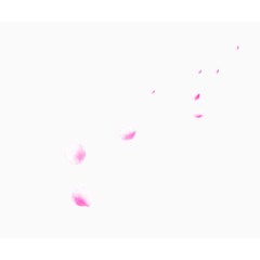 粉色的凌乱的花瓣