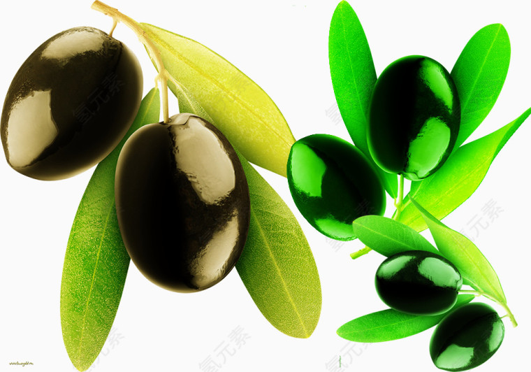 绿色橄榄果盘素材