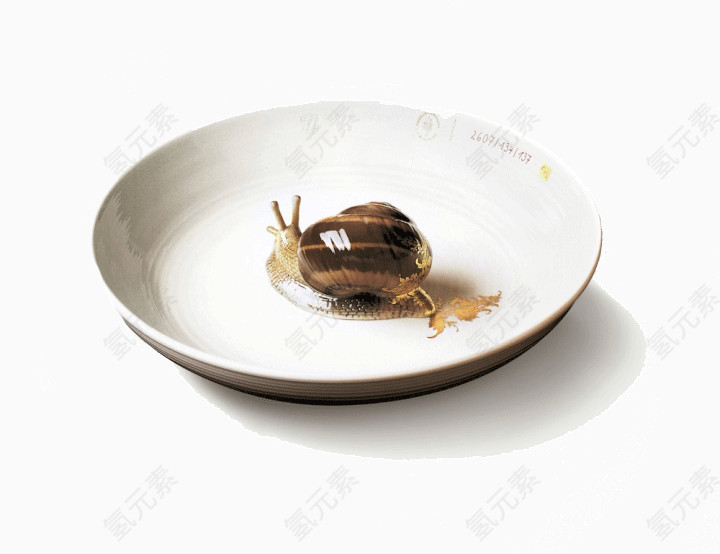 创意陶瓷碗里的蜗牛
