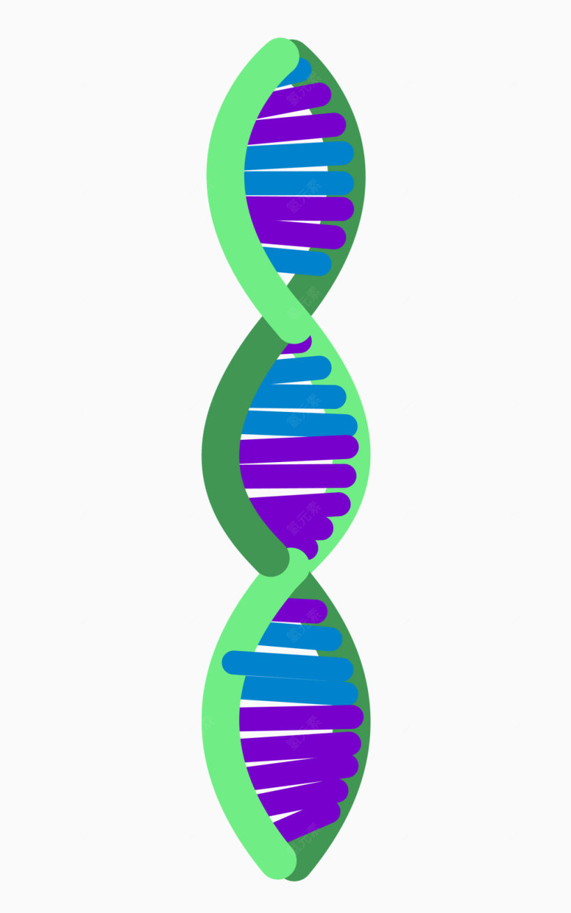 螺旋结构生物学下载