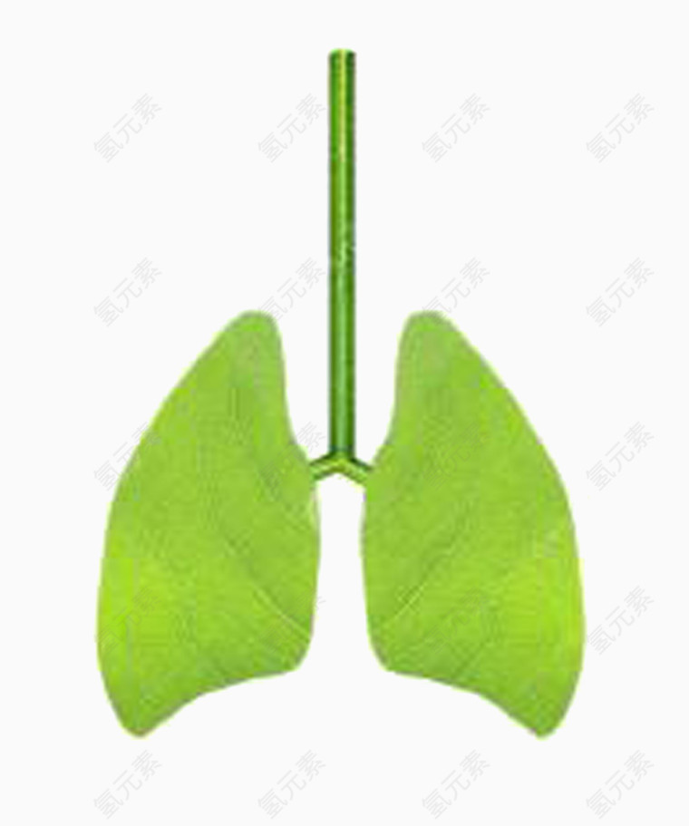 手绘肺部与绿植