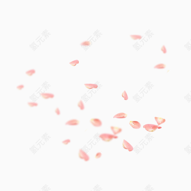 粉色玫瑰花瓣素材