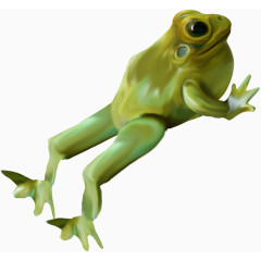 跳跃的绿色青蛙