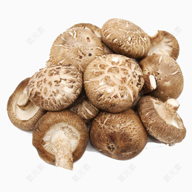 新鲜美味的蘑菇