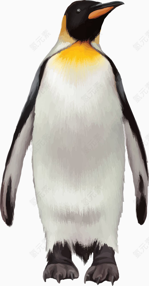 可爱企鹅