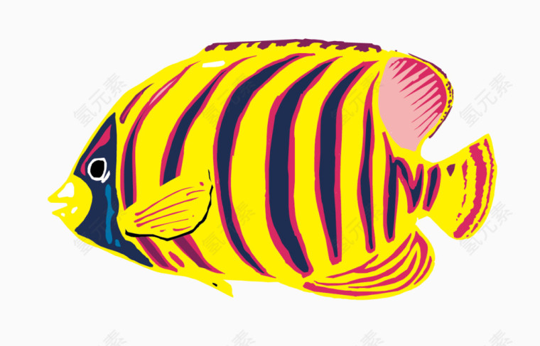 矢量彩色观赏鱼素材