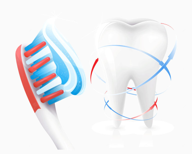 牙刷牙齿健康矢量图下载