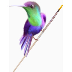 画笔彩色小鸟