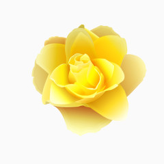 黄色创意花朵